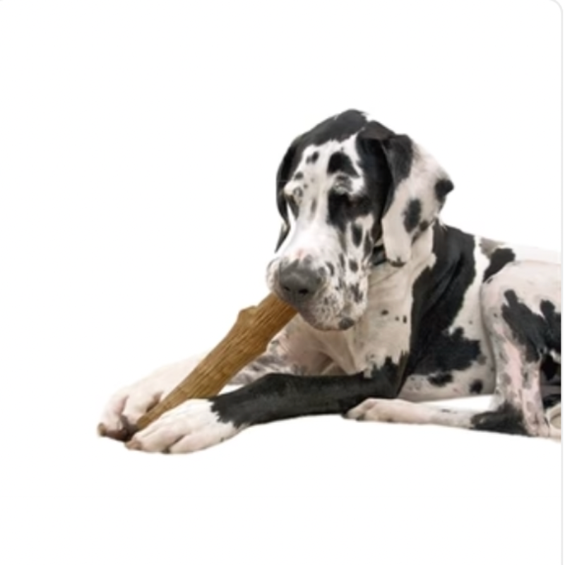 Petstages Dogwood Durable Stick